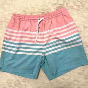 Chubbies The Horizons Lined Classic Swim Trunks 5.5” Large